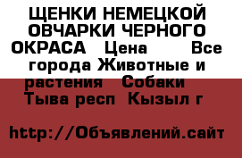 ЩЕНКИ НЕМЕЦКОЙ ОВЧАРКИ ЧЕРНОГО ОКРАСА › Цена ­ 1 - Все города Животные и растения » Собаки   . Тыва респ.,Кызыл г.